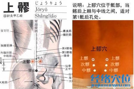 上髎穴位位置圖