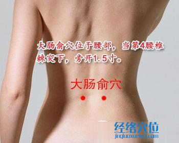 大腸俞穴位位置圖