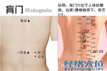 肓門(mén)穴位位置圖
