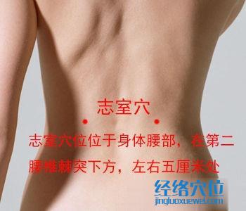 志室穴位位置圖