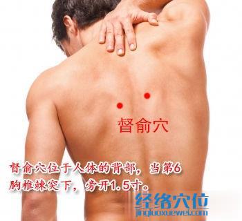 督俞穴位位置圖