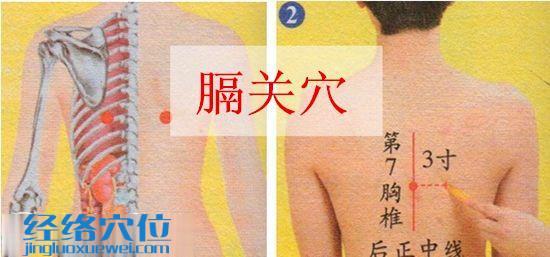 膈關(guān)穴的位置及取穴示范圖