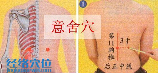 意舍穴的準(zhǔn)確位置圖