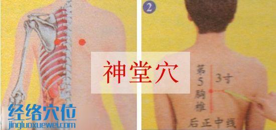 神堂穴位位置圖