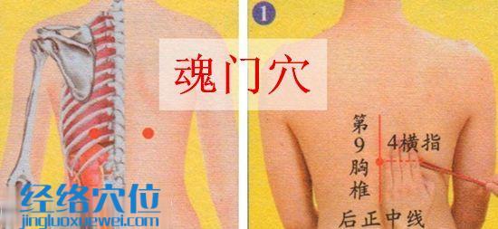 魂門穴的位置及取穴示范圖