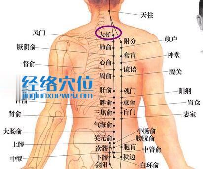 大杼穴位圖