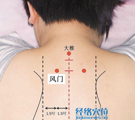 風(fēng)門穴的準(zhǔn)確位置圖