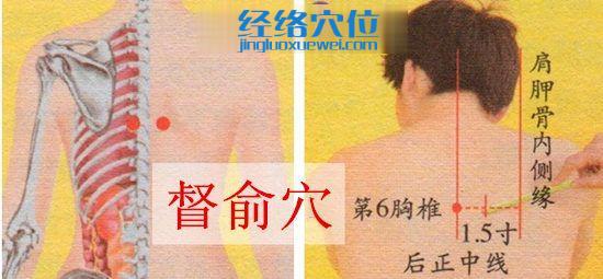 督俞穴位位置圖