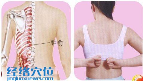 膽俞穴位位置圖