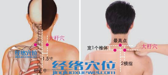 大杼穴位位置圖