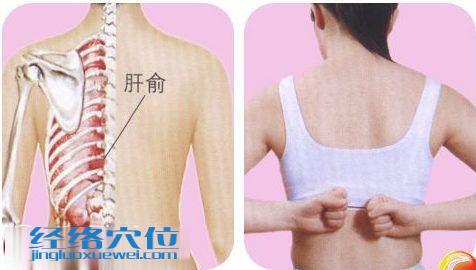 肝俞穴的準(zhǔn)確位置圖