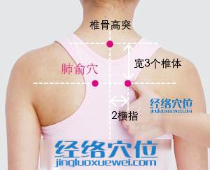 肺俞穴的準(zhǔn)確位置圖