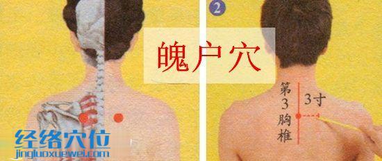 魄戶穴的位置圖