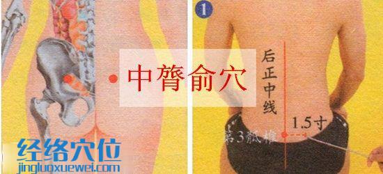 中膂俞穴的位置圖及取穴方法