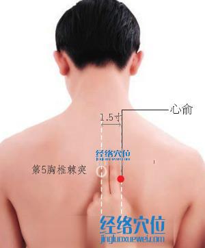 心俞穴的準(zhǔn)確位置圖