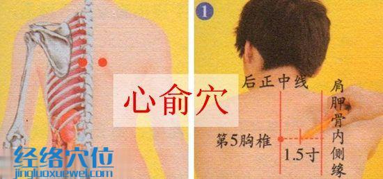 心俞穴位位置圖