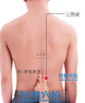 三焦俞穴位位置圖