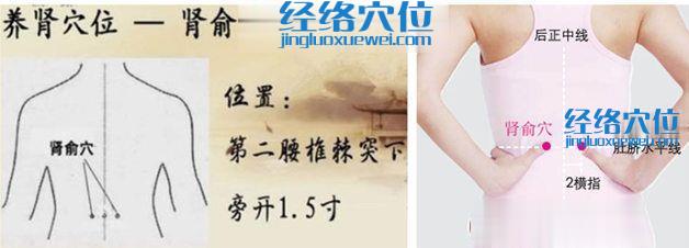腎俞穴的位置及取穴方法