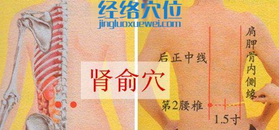 腎俞穴位位置圖