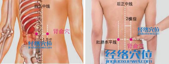 腎俞穴位位置圖