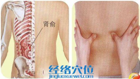 腎俞穴的按揉手法