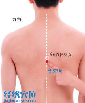 靈臺穴位位置圖