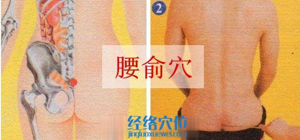 腰俞穴的準(zhǔn)確位置圖