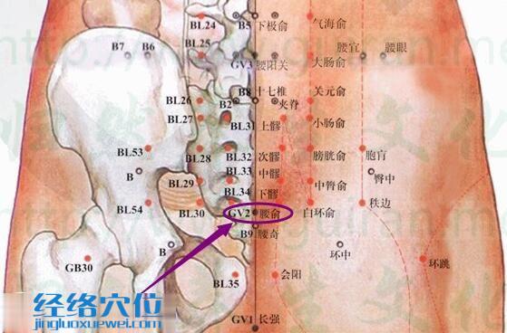 腰俞穴的準(zhǔn)確位置圖