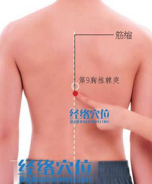 筋縮穴位位置圖