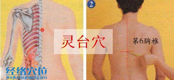 靈臺穴的位置圖