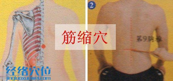 筋縮穴的位置圖