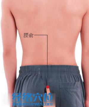 腰俞穴位位置圖