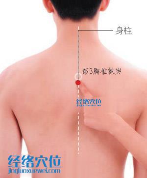 身柱穴的準(zhǔn)確位置圖