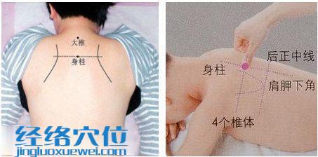 身柱穴的位置圖