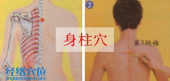 身柱穴位位置圖