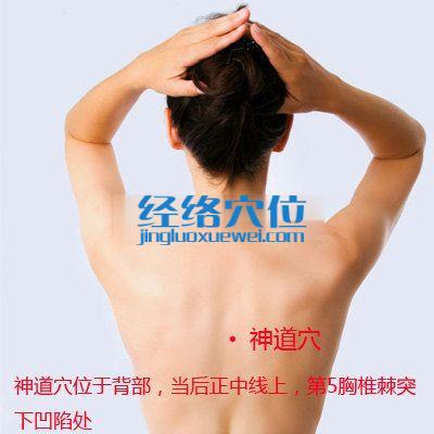 神道穴的位置圖