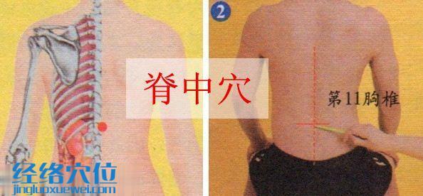 脊中穴的準(zhǔn)確位置圖