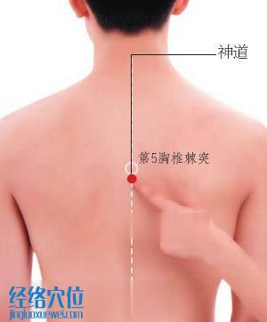 神道穴位位置圖