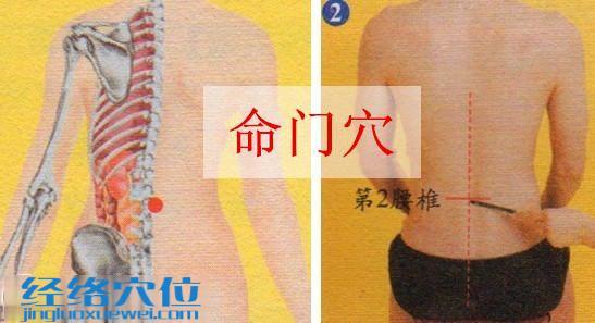 命門穴位位置圖