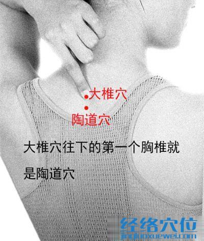 陶道穴位圖