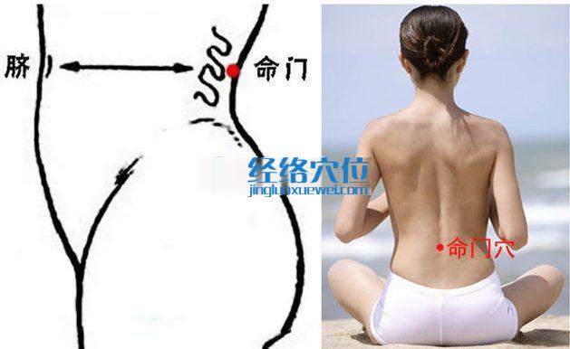 命門穴的位置圖