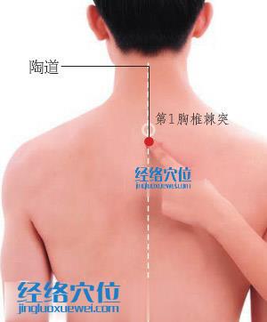 陶道穴位位置圖