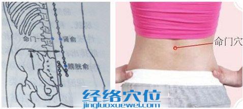 命門穴的位置圖