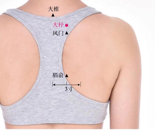 大杼的準(zhǔn)確位置圖及功效視頻位位置圖