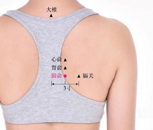 膈俞的準(zhǔn)確位置圖及功效視頻位位置圖