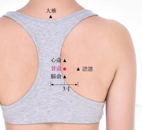 督俞的準(zhǔn)確位置圖及功效視頻位位置圖