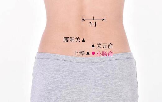 小腸俞的準(zhǔn)確位置圖及功效視頻位位置圖