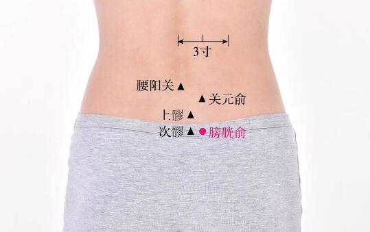 膀胱俞的準(zhǔn)確位置圖及功效視頻位位置圖