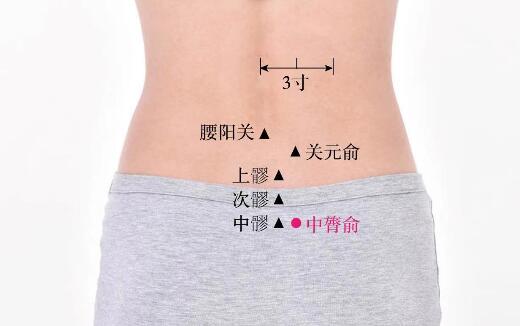 白環(huán)俞的準確位置圖及功效視頻位位置圖