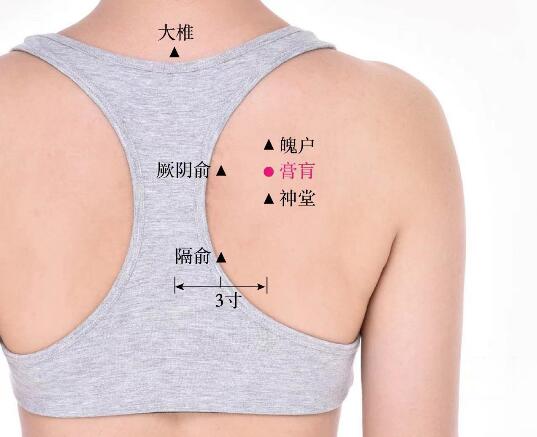 膏肓的準(zhǔn)確位置圖及功效視頻位位置圖